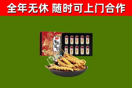 香格里拉市回收冬虫夏草价格